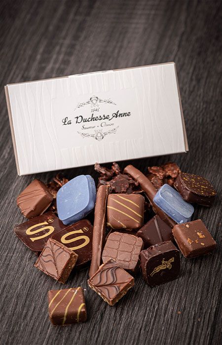 Multiple sorte de chocolats