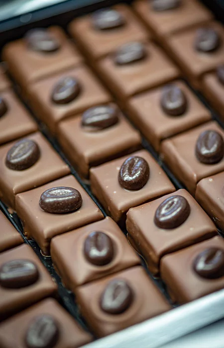 Chocolats avec petite graine de Cacao