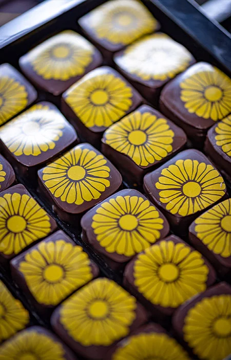 Chocolats tournesol